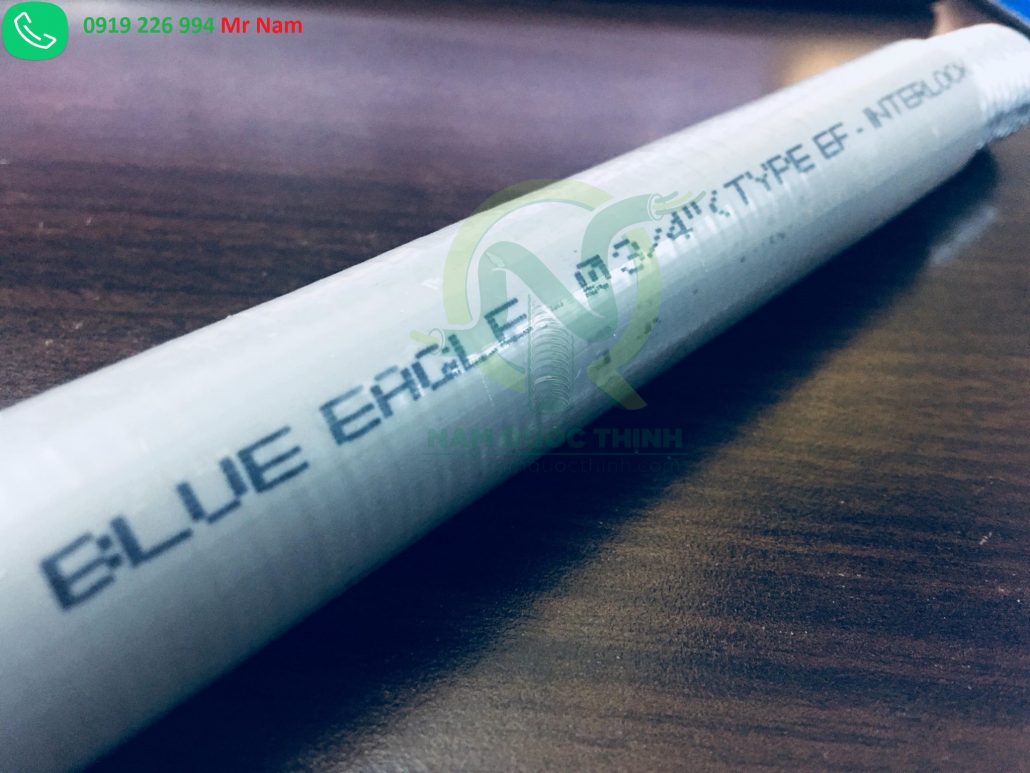 Blue eagle